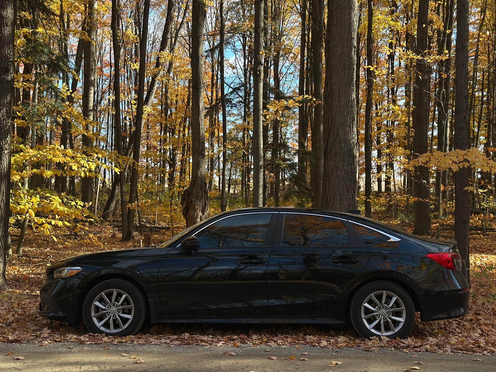 2024 Honda Civic EX